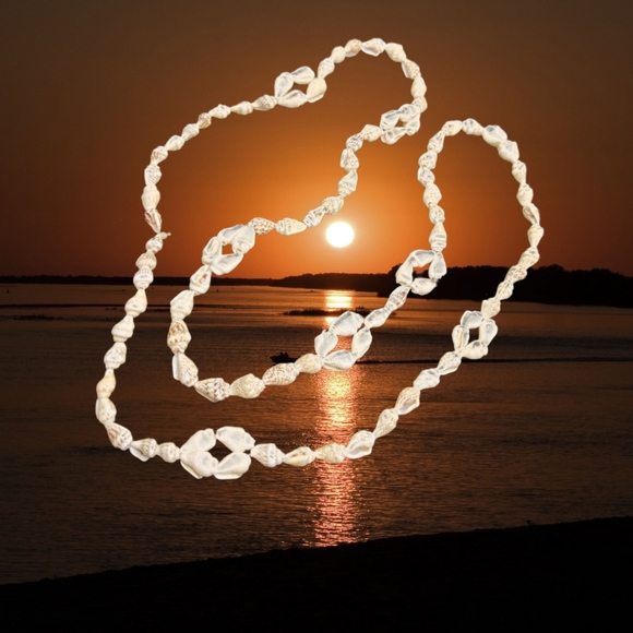 Jewelry - 🔴 15/$25. Small Conch Sea Shells Necklace